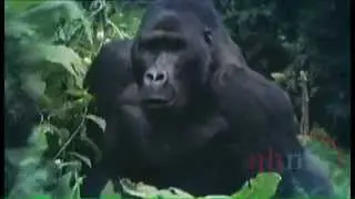 Up Close and Dangerous