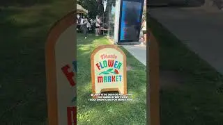 Have you visited the flower market yet? 💐🌺 #toronto #todotoronto #flowers