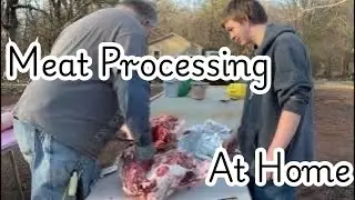Processing Our Pigs 🐖 Home Meat Processing