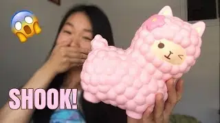 BANGGOOD SQUISHY PACKAGE