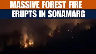 Massive Forest Fire Erupts in Sonamarg, J&K | Dousing Operations Underway | News9