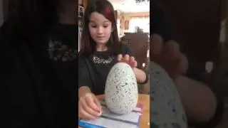 Hatchimal Hatching!