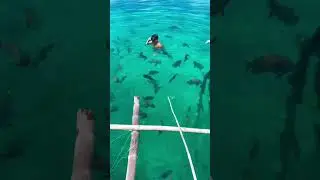 Fish sanctuary in Matnog, Sorsogon.