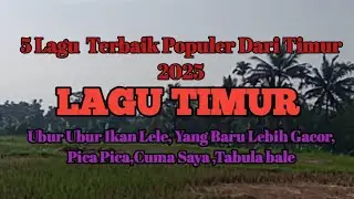 Lagu Timur Populer 2025 || 5 Lagu Viral Dari Timur || Dangdut Version 