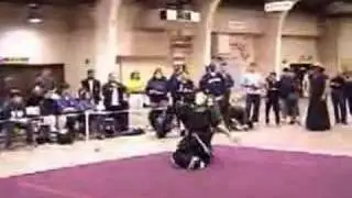 Insane Sword Master