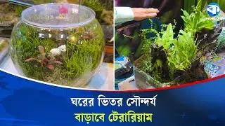 রাজধানীতে ফিস ফেয়ারে ব্যতিক্রমী টেরারিয়াম | Fish Fair | Unique Terrarium Display
