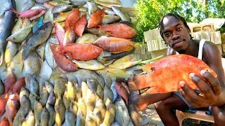 50lbs of Fish Clean and Sold | Weekend Seafood Cookout for My Subscribers | 24hrs Working 