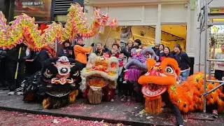 Hoi Tin Cafe | Lion Dance | Amsterdam New Year 2026