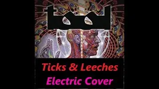 Tool - Ticks and Leeches guitar cover #tool #guitarcover #lateralus