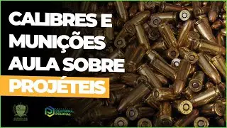Calibres e Munições | Aula sobre Projéteis