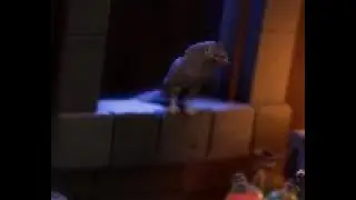 chill stream playing for the king 2