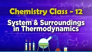System and Surroundings in Thermodynamics - Chemical Thermodynamics - Chemistry Class 12