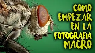 #1 📷🌻 CURSO FOTOGRAF&Iacute;A MACRO para principiantes