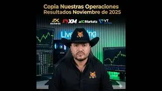 Gestionamos tu cuenta forex sin pagos por adelantado. #tradingcapitalperformance