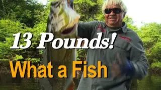 Incredible Fishing in Brazil!  Giant Peacock Action JHO ep 20-16
