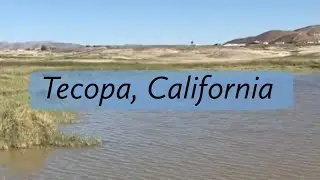 Tecopa, California
