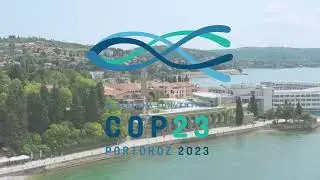 COP 23