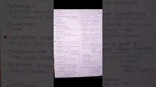 Morphology of flowering plants | Short notes | class 11th biology | NCERT #neetnotes #biology
