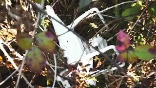 i crashed my drone... | weekly vlog