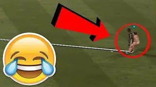FIFA 18 EXTREME SLIDER SETTINGS CHALLENGE! | FUNNY BUGS AND GLITCHES 😂 | Funny Montage