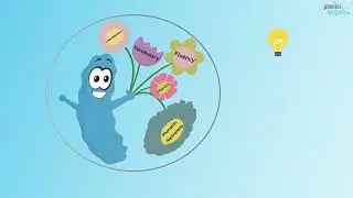 Connecting the Pillars of Early Literacy Instruction with Phonics in Motion