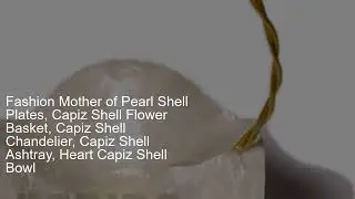 Fashion Mother of Pearl Shell Plates, Capiz Shell Flower Basket, Capiz Shell
