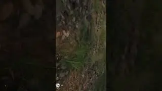 Doing a flip on my Quad