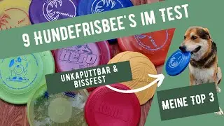 Hundefrisbee Test 🐶 9 beste Frisbees f&uuml;r Hunde im Vergleich 🥏 Unkaputtbar & Bissfest | Meine Top 3 🏆