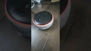 Google и Alexa не подключены к интернету.