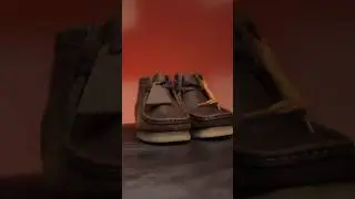 1 year later: Clark's Wallabee #shorts