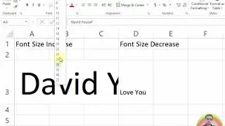 How To MS Excel Font Size Increase and Decrease Tutorial p7 Urdu Hindi