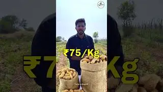 Groundnut Farming 🥜 | ₹90,000 🔥 | Agrotill | #farming #agriculture #shorts