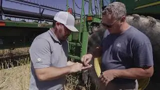 Farm to Fuel: The Untold Story of Winter Canola