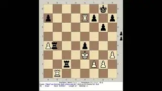 Seemann, Jakub vs Narayanan, S L | Titled Tuesday 23rd December 2025, chess com INT