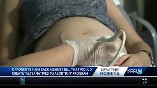 Iowa lawmakers consider bill to create 'Alternatives to abortion' program