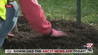 Community Tree Planting to be held in Dauphin County