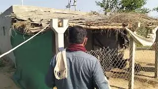 15 વીઘા જમીન વેચવાની છે લેવી હોય તો કોન્ટેક્ટ કરજો 9265077597