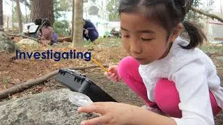 Discovery Museum: Learning, Outdoors