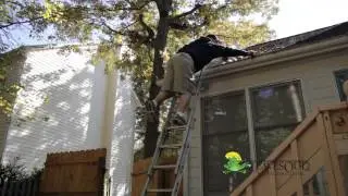 gutter guards Asheville protection covers LeavesOut cleaning Hendersonville Brevard Mills River