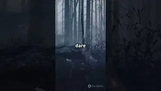 Creepy Forest Encounter: A Reddit Horror Story