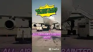 The Real Reason Planes Are Always White✈️Airplane Fact That&rsquo;ll Blow Your Mind🛩️ #shorts #fyp #foryou