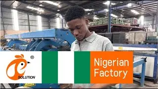 Nigeria-China Factory Poultry Battery Cage System For Sales #poultryfarming #batterycage