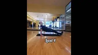 Reverse Plank Level 1-4