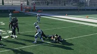Madden 18 Run Defense: 3-4 Odd - Cover 4 Drop Show 2