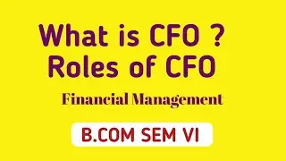 What is a CFO? | Chief Financial Officer Role & Responsibilities | Financial Management - BCom
