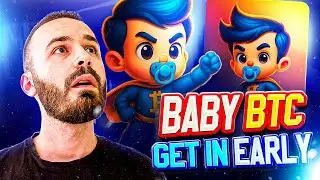 Could Baby BTC Be the Next Big Name in Blockchain Learning?