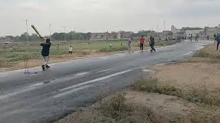 Tigers