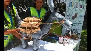 Cómo hacer un burrito ecológico - Municipalidad de San Borja