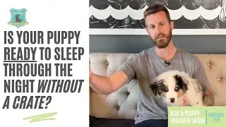Is Your Puppy Ready To Sleep Through The Night Without A Crate? | AAPTS Ep. 215