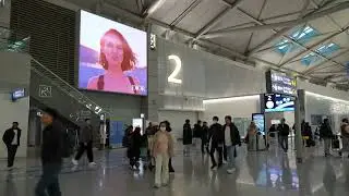 Check-in Square (4 panels)